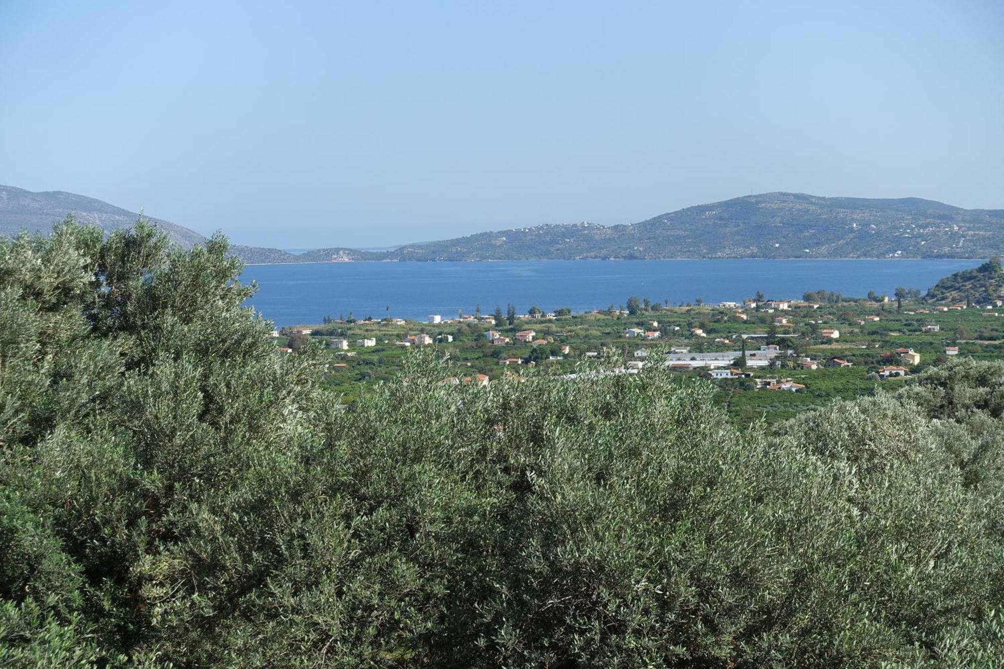 Studio In Villa In Kalloni Direkt Am Meer Luaran gambar